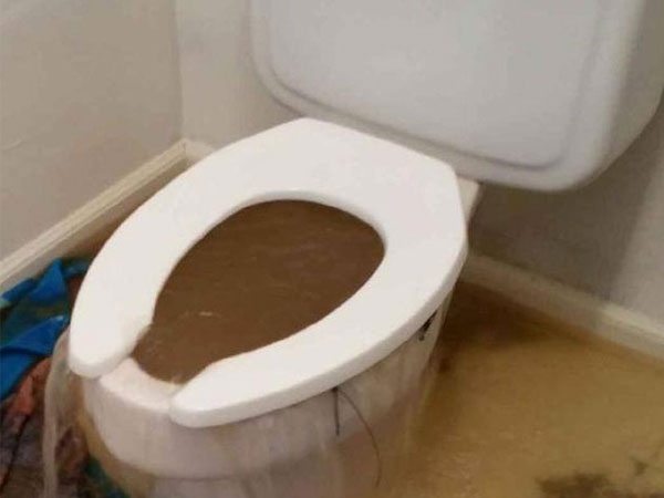 https://www.dilagosplumbing.com/images/innerpage-img/clogged-toilet-fast.jpg