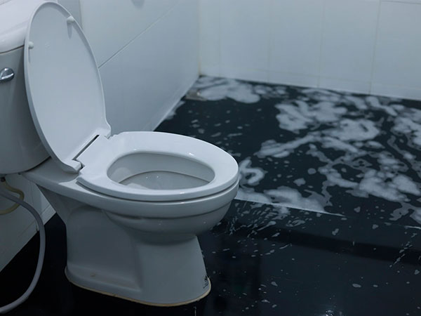 Clogged Toilet Repair by DiLago's Plumbing in Cocoa Beach, FL